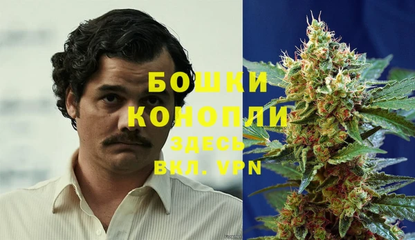 дживик Абаза